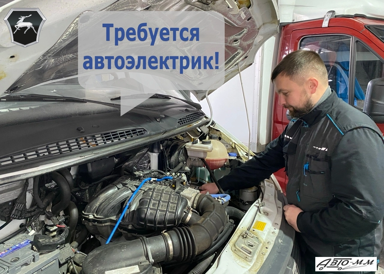 статья